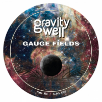 Пиво Gauge Fields