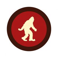 Пиво Chocolate Cherry Yeti