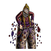 Пиво Jammy Pants (Cherry, Raspberry, Lime)