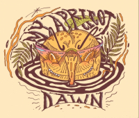 Пиво My Apricot Dawn