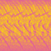 Пиво Gross - Nork