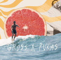 Пиво Gross X Pukas Пиво Gross X Pukas