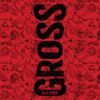 Пиво Oilo Ipurdi Пиво Oilo Ipurdi