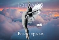 Пиво Белое крыло Пиво Белое крыло