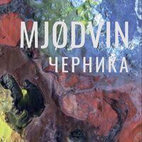 Пиво MJODVIN Черника Пиво MJODVIN Черника