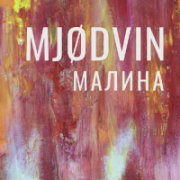 Пиво MJODVIN Малина Пиво MJODVIN Малина