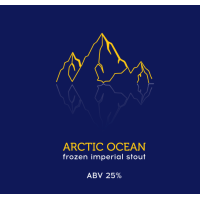 Пиво ARCTIC OCEAN 2024 ba