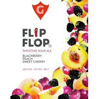 Пиво FLIP FLOP 53 | blackberry • peach • sweet cherry