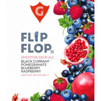 Пиво FLIP FLOP 55 | black currant • blueberry • pomegranate • raspberry