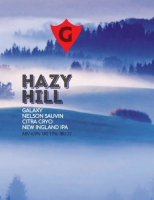 Пиво HAZY HILL 3 | galaxy • nelson sauvin • citra cryo