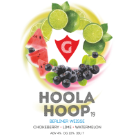 Пиво HOOLA HOOP 19 | chokeberry • lime • watermelon