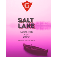 Пиво SALT LAKE 2 | raspberry • mint