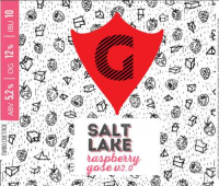 Пиво SALT LAKE Raspberry V 2.0