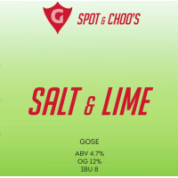 Пиво SALT & LIME