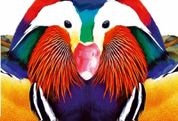 Пиво Мандаринка