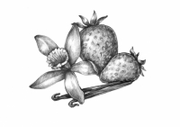 Пиво VULGAR:Strawberry&Vanilla Imperial Stout Пиво VULGAR:Strawberry&Vanilla Imperial Stout