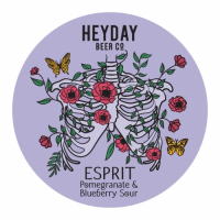 Пиво Esprit Pomegranate & Blueberry Sour
