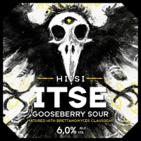 Пиво ITSE Gooseberry Sour