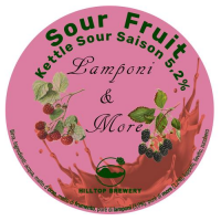 Пиво Sour Fruit - Lamponi & More