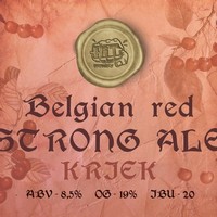 Пиво Belgian Strong Ale. Kriek