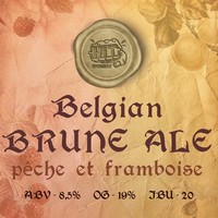 Пиво Belgian Brune Ale. Peche et Framboise