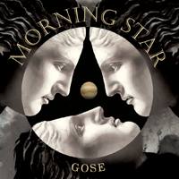 Пиво Morning Star Gose