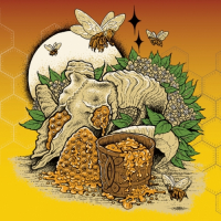 Пиво Honeybucket 2022 Пиво Honeybucket 2022