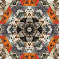 Пиво Catleidoscope 4