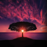 Пиво Nothing Is Random