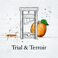Пиво Trial & Terroir: Apricot (2019) Пиво Trial & Terroir: Apricot (2019)
