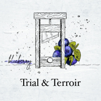 Пиво Trial & Terroir: Blueberry (2019)