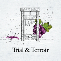 Пиво Trial & Terroir: Fragola Grape (2019) Пиво Trial & Terroir: Fragola Grape (2019)