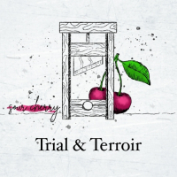 Пиво Trial & Terroir: Sour Cherry 2020 Пиво Trial & Terroir: Sour Cherry 2020
