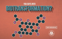 Пиво You Guys Into Biotransformation?