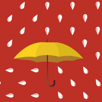 Пиво Rainy Season