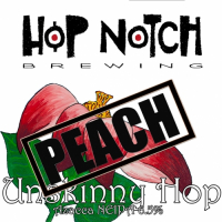 Пиво Unskinny PEACH Пиво Unskinny PEACH