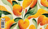 Пиво Punch of Citrus