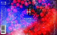 Пиво SOURBIT / BLACK AND RED CURRANT