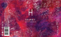 Пиво SOURBIT / TRIPLE BERRIES