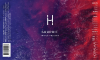Пиво SOURBIT / TRIPLE FRUITED