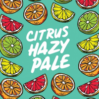 Пиво Citrus Hazy Pale
