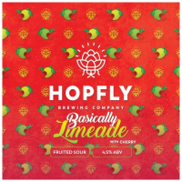 Пиво Basically Limeade: Cherry