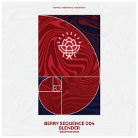 Пиво Berry Sequence 004