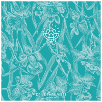 Пиво Drive-Thru Vibes