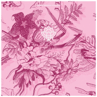 Пиво Essential AF Пиво Essential AF