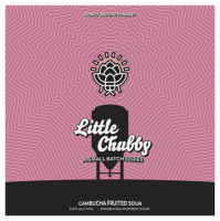 Пиво Little Chubby: Cambucha