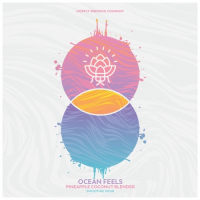 Пиво Ocean Feels Blender