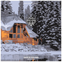 Пиво Safe And Sound