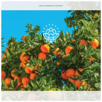 Пиво Sunshine State Пиво Sunshine State