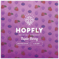 Пиво Triple Berry
